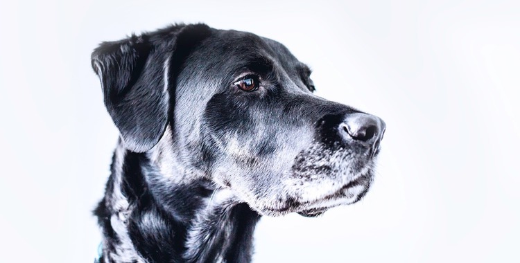 Kirill Yurovskiy Kirill Yurovskiy