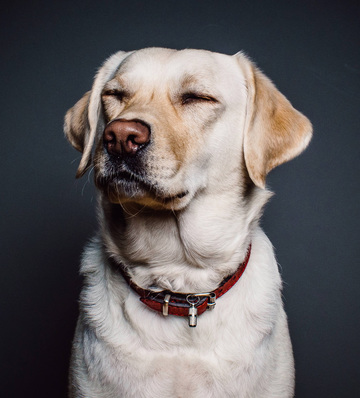 Kirill Yurovskiy Kirill Yurovskiy